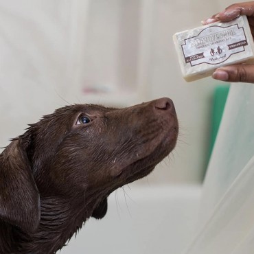Natural Dog Company - Shampoing peaux sensibles