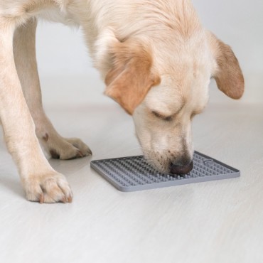 Tapis de léchage gris
