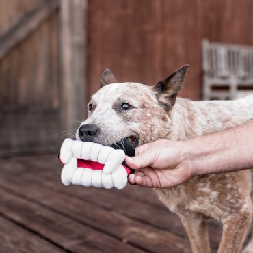 Peluche PLAY Barky's Bite