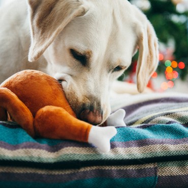 Peluche PLAY Dinde de Noël